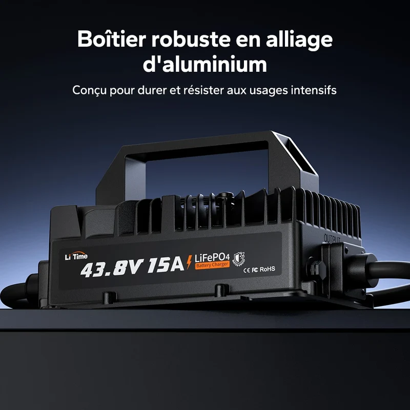 【Nouveauté】LiTime Chargeur LiFePO₄ 36V 15A avec protection étanche IP66