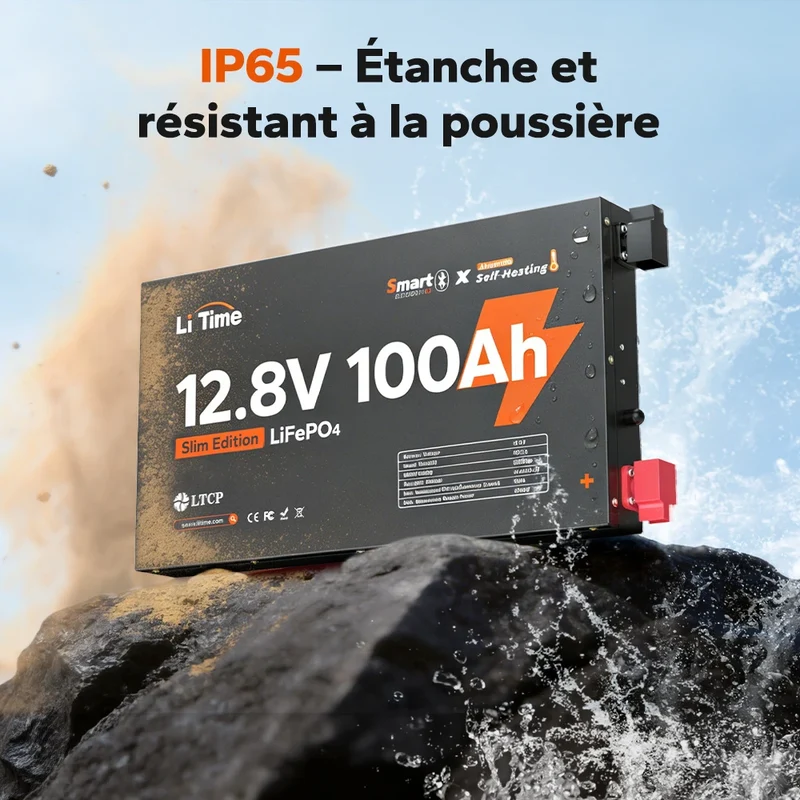 【Nouveauté】LiTime Batterie LiFePO4 12V 100Ah Ultra Slim avec Bluetooth & Auto-chauffante – Idéale pour Camping-car, Van & Fourgon aménagé