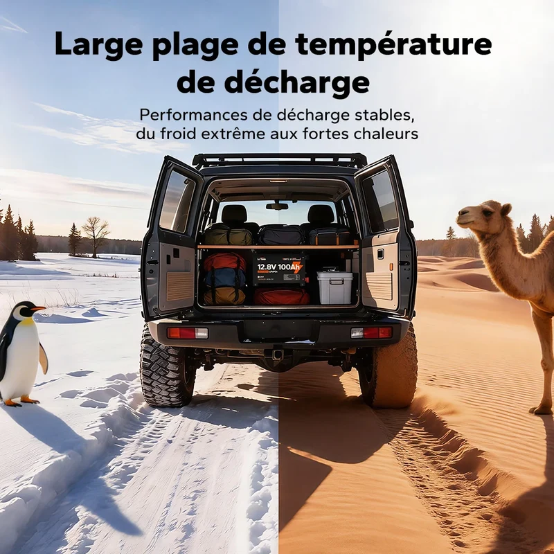 【Nouveauté】LiTime Batterie LiFePO4 12V 100Ah Ultra Slim avec Bluetooth & Auto-chauffante – Idéale pour Camping-car, Van & Fourgon aménagé