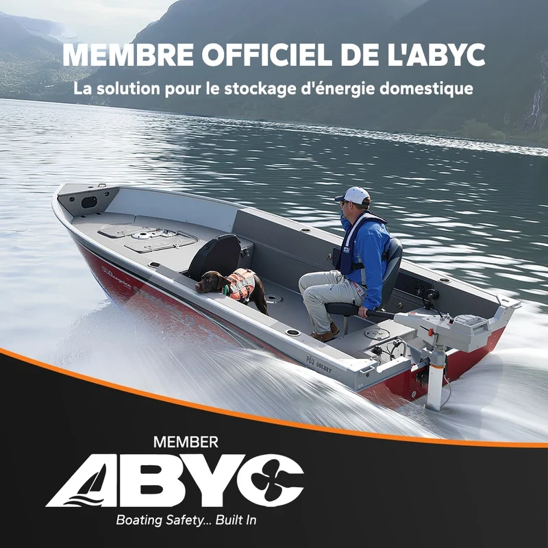 【Nouveauté】LiTime 12V 100Ah Smart LiFePO4 Batterie Marine pour Moteur Électrique Hors-Bord de Traîne