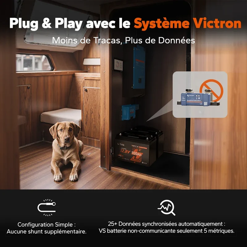 【Nouveauté】LiTime Batterie LiFePO4 12V 100Ah Smart ComFlex avec Bluetooth & Victron Communication