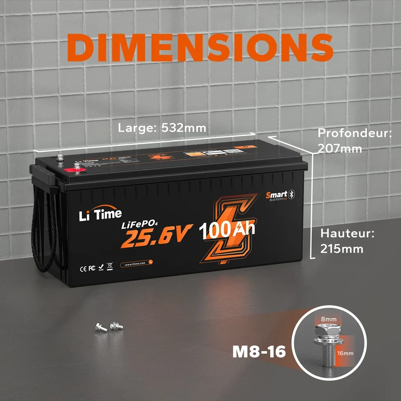 LiTime 24V 100Ah LiFePO4 Batterie Bluetooth pour Camping-car et Marine