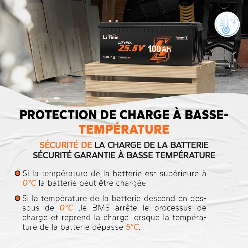 LiTime 24V 100Ah LiFePO4 Batterie Bluetooth pour Camping-car et Marine