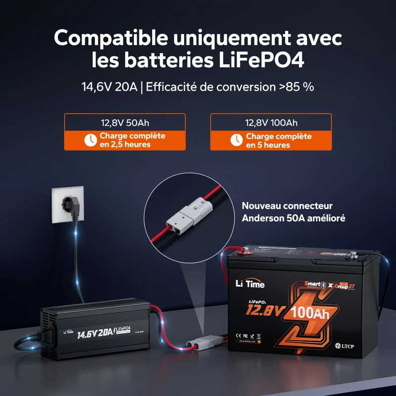 LiTime Chargeur Lithium LiFePO4 12V 20A
