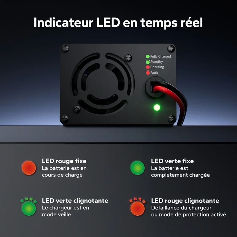 LiTime Chargeur Lithium LiFePO4 12V 20A