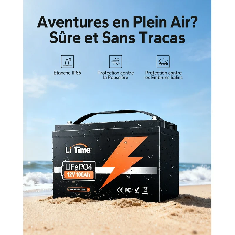 LiTime 12V 100Ah Batterie au lithium à cycle profond LiFePO4