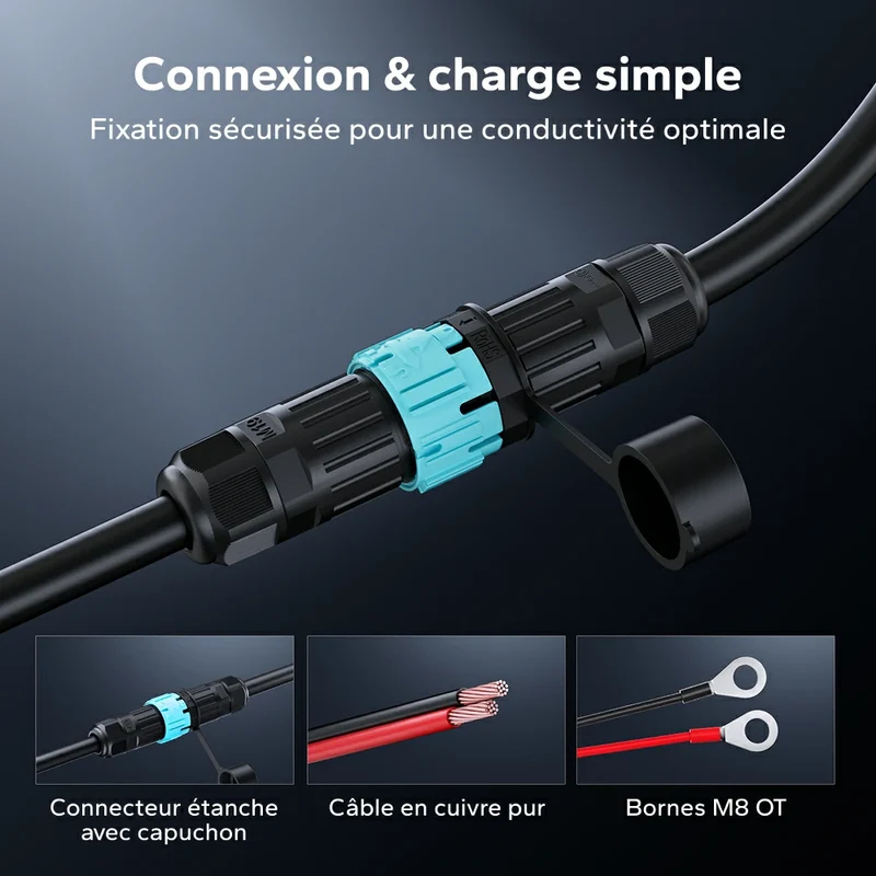 LiTime Chargeur 12V 10A pour batterie lithium IP65 étanche haute performance