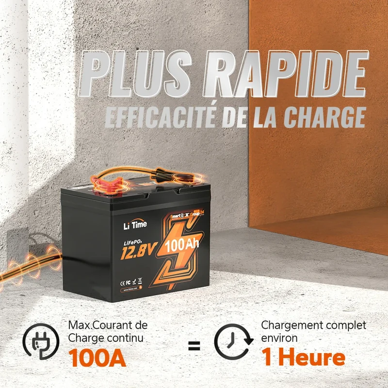 LiTime 12V 100Ah Group 24 Bluetooth LiFePO4 batterie au lithium à cycle profond