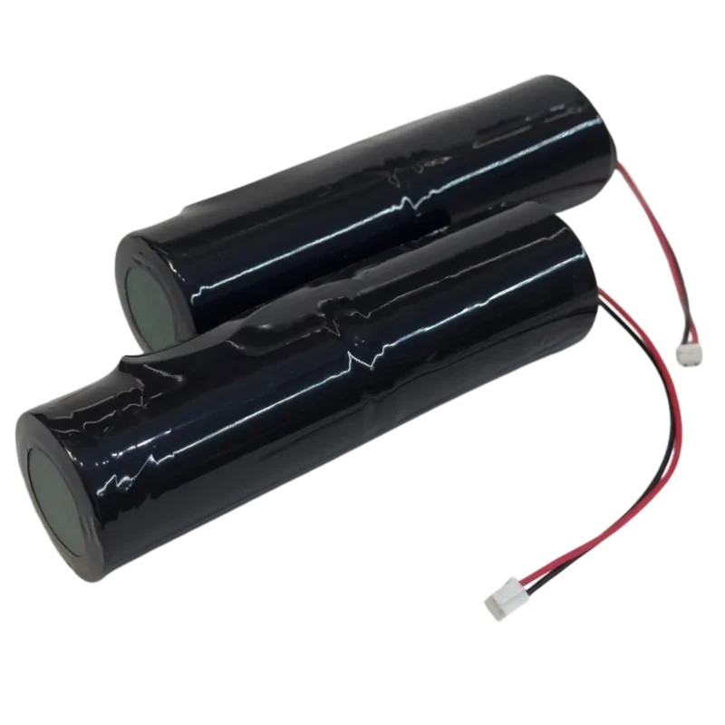 2x Piles 3V Alcalines Format D pour Alarme Piscine KidsGuard 2 – 6V