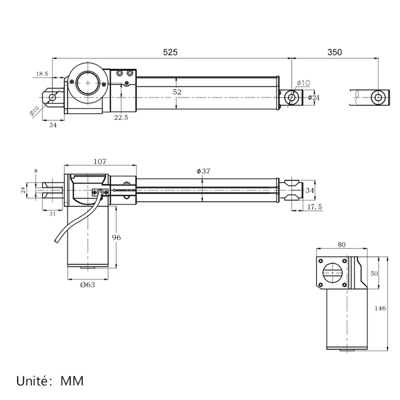 12V 24V vérin électrique 600kg course 350 mm avec télécommande (Modèle: 0020591)