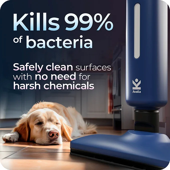 Avalla T-20 High Pressure Steam Mop - Blue