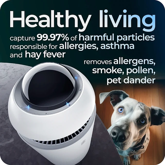 Avalla R-4200 air purifier with True HEPA filter & ioniser - for whole home