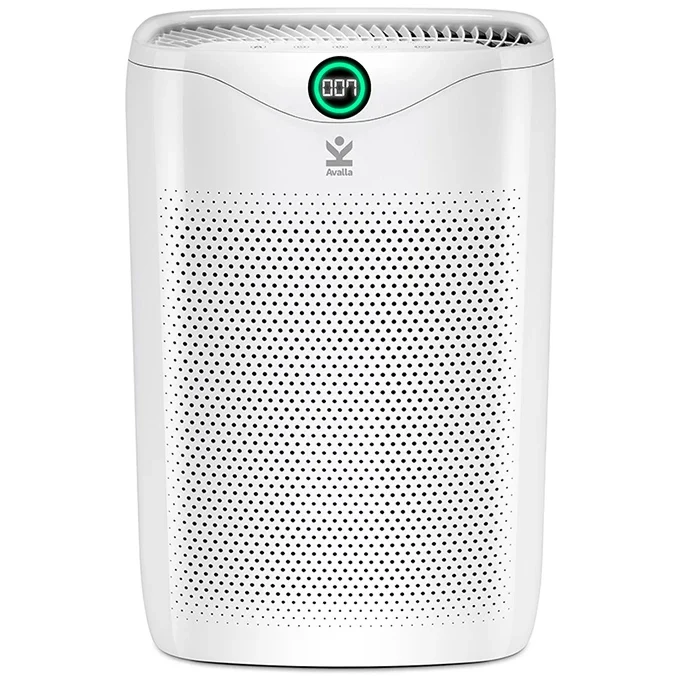 Avalla R-120 air purifier with True HEPA filter