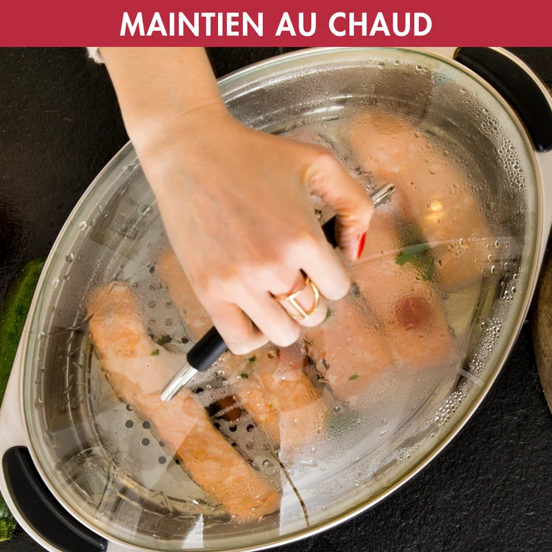 Magimix Cuiseur Vapeur Multifonction