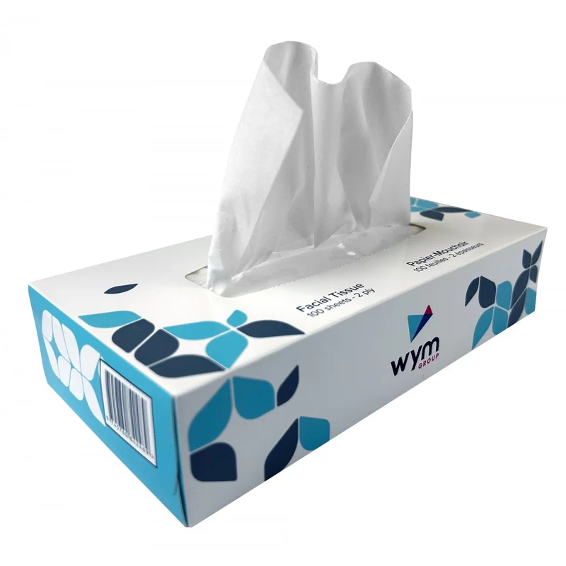 2-Ply Facial Tissues - Pack of 30 Boxes, 100 Tissues per Box - PAP30100WY