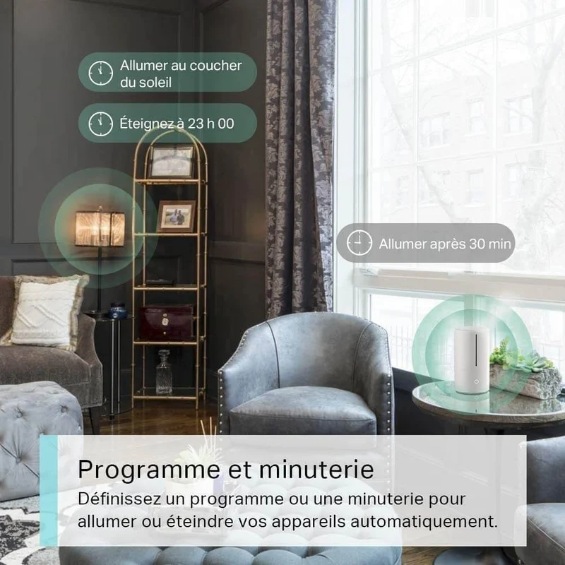 Prise Connectée Intelligente 10A - Tapo P100