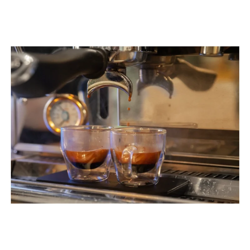 Elixir Panacea Blend