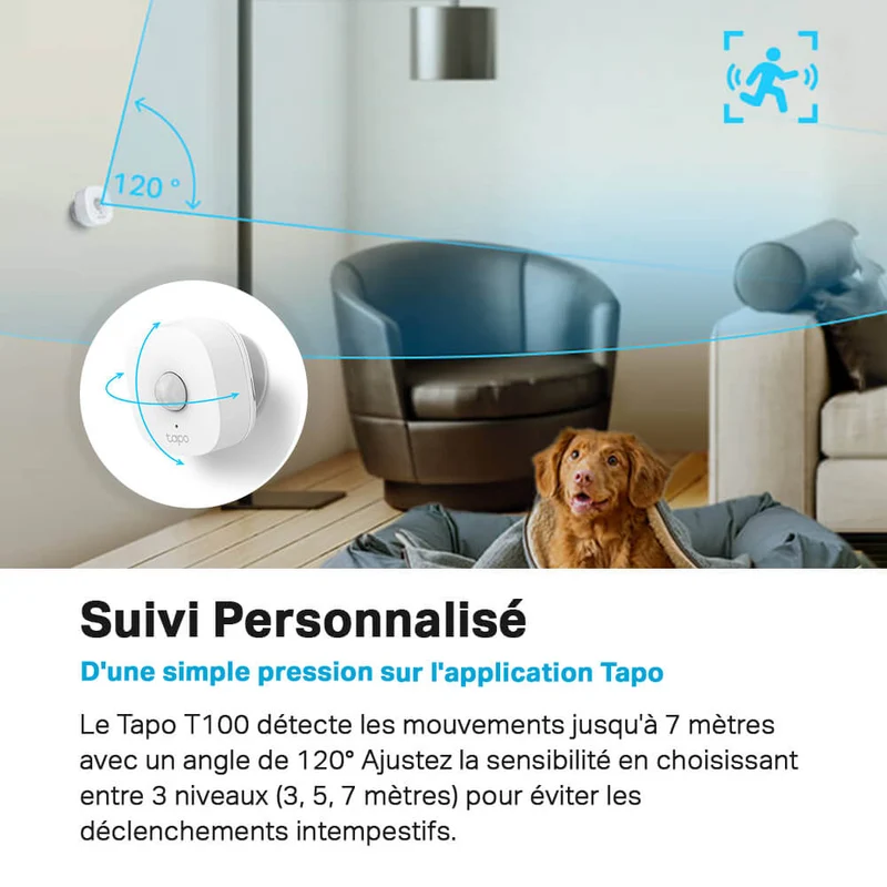 Détecteur de Mouvement connecté - Tapo T100