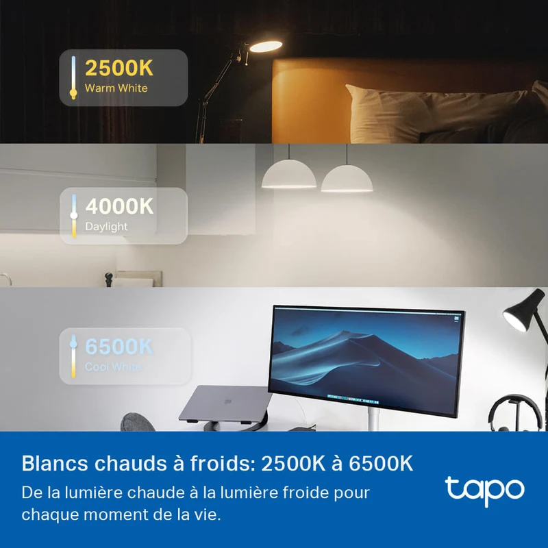 Ampoule Led Connectée E27 Multicolore 1055 Lumens - Tapo L535E