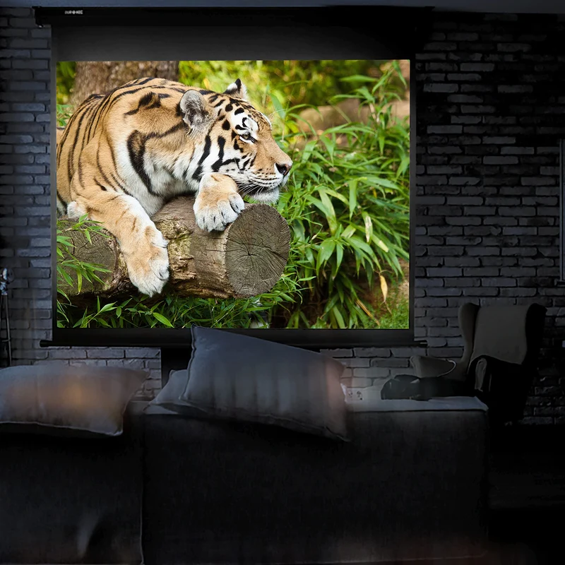 Duronic MPS80 4/3 Ecran de Projection à déroulement Manuel 80 Pouces 4:3/163 x 122 cm - Fixation Mur ou Plafond - 4K Full HD 3D