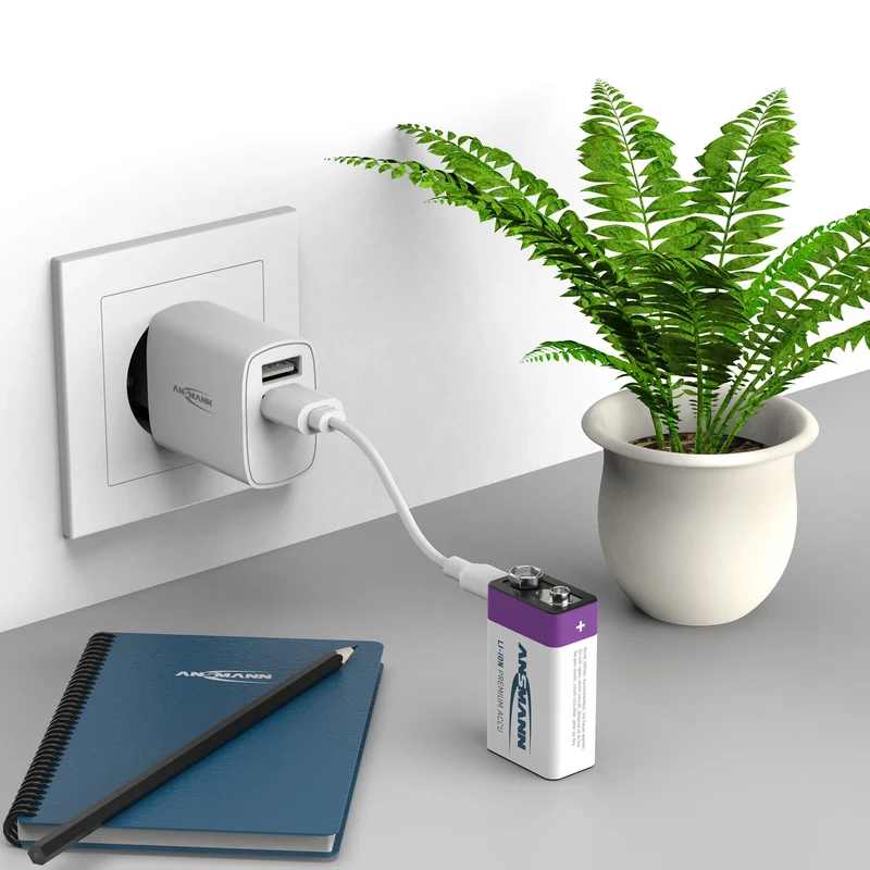 ANSMANN - batterie rechargeable Li-Ion 1x 9V 400mAh + câble