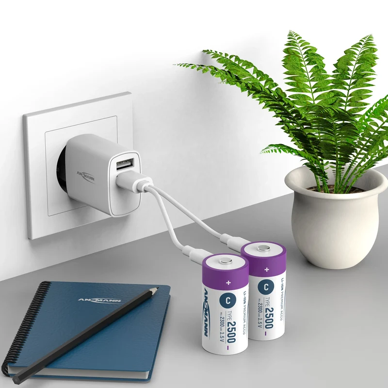 ANSMANN - batterie rechargeable Li-Ion 2x C 2500mAh + câble