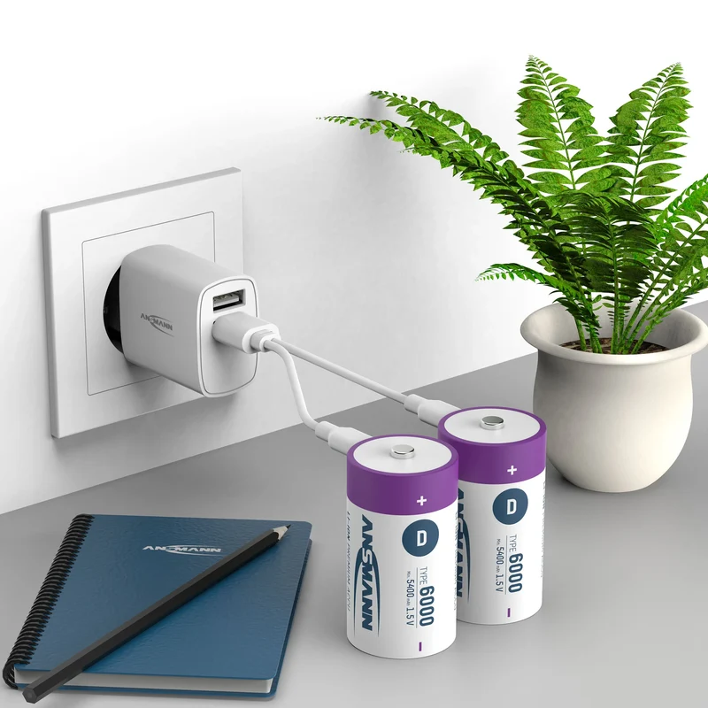 ANSMANN - batterie rechargeable Li-Ion 2x D 6000mAh + câble