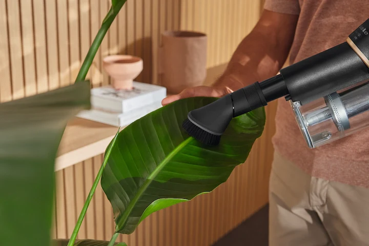 Dusting brush