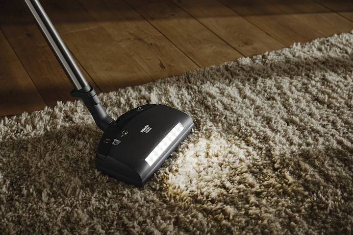 Electro Premium floorbrush SEB 236