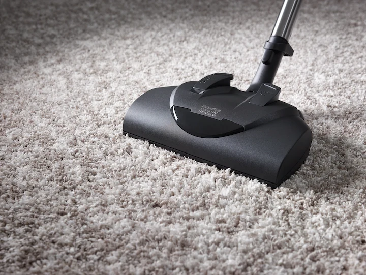 Electro Plus floorbrush SEB 228
