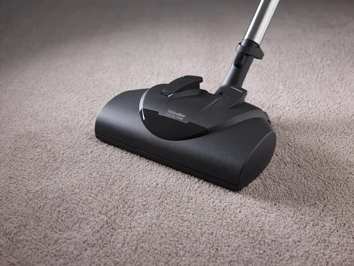Electro Plus floorbrush SEB 228