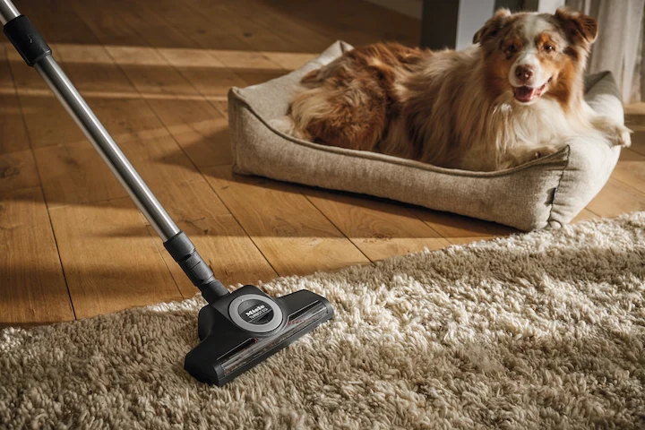 TurboTeQ carpet brush STB 305-3