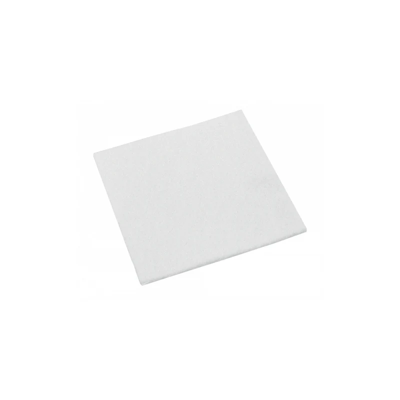 Motor Filter for Silenzio Jazz Canister Vacuum Cleaner