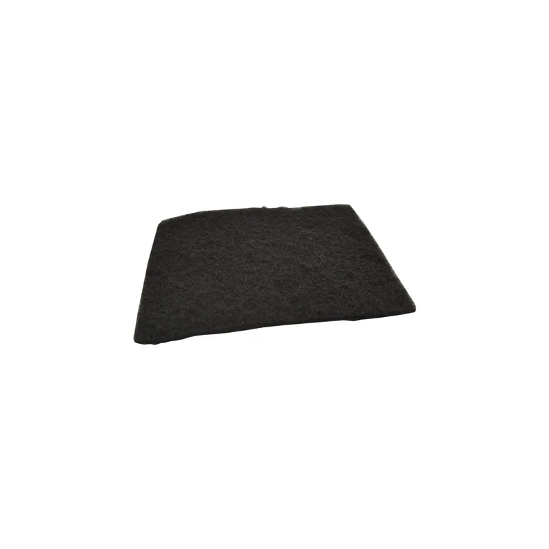 Motor Air Filter for AS200