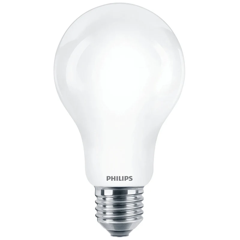PHILIPS - Light Bulb - E27 - 120 W - 2000 Lumen - 2700 K - Frosted - Bulb
