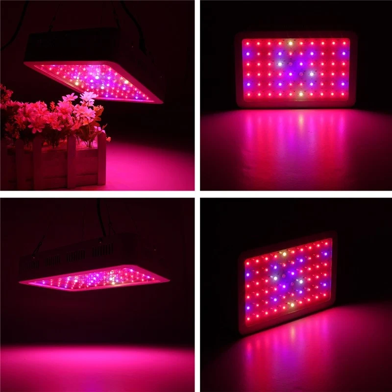 1000W Full Spectrum LED Grow Light for indoor greenhouse & hydroponic plants