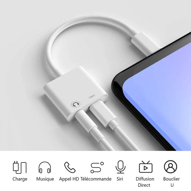 Adaptateur Type-C 2EN1