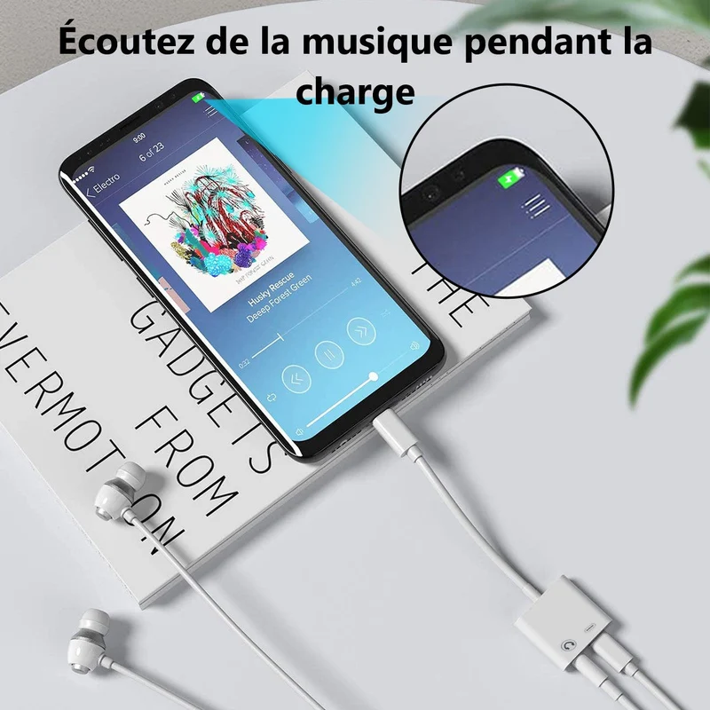 Adaptateur Type-C 2EN1