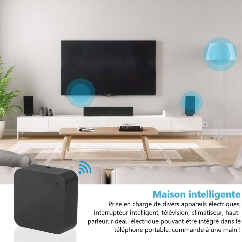 Telecommande Intelligente