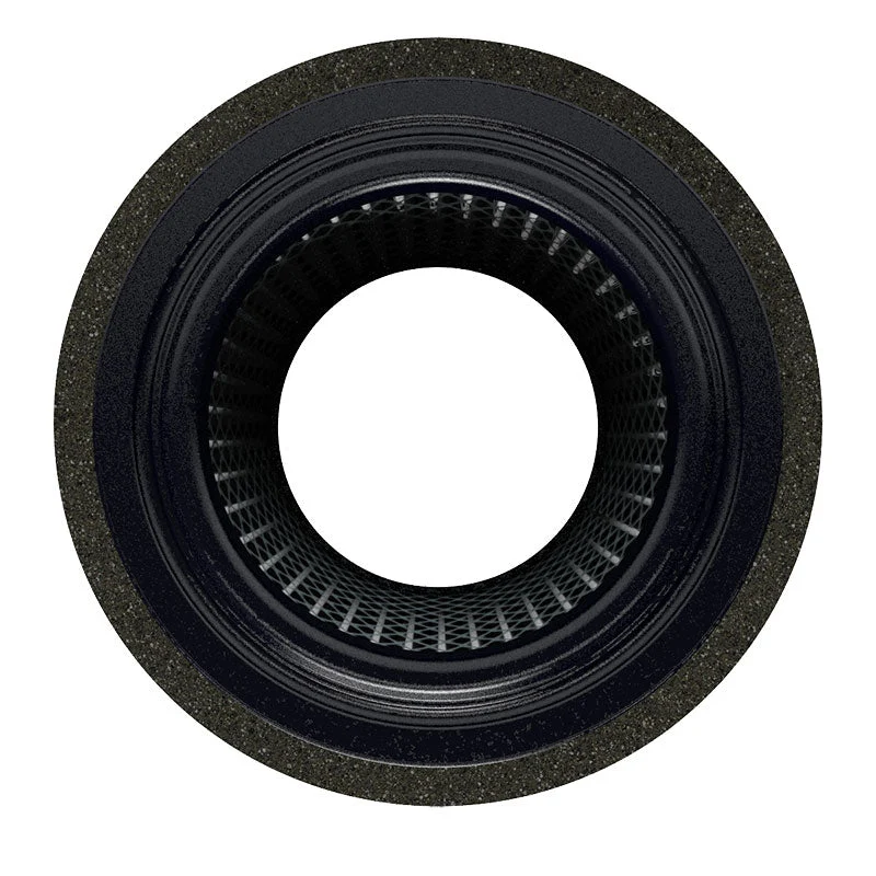 19P®