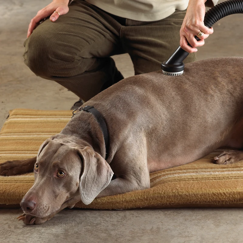 Shop-Vac® 1-1/4 inch diameter Dog Grooming Tool