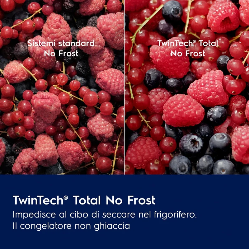 Frigorifero Con Congelatore Da Incasso Electrolux Serie 600 TwinTech ENT6NE18S 257L Classe E