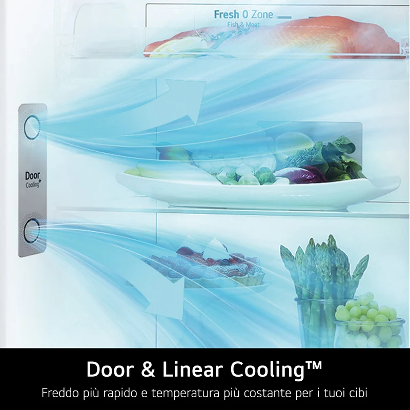 Frigorifero Con Congelatore Libera Installazione LG GTBV38PZGKD Classe E 335L Inox