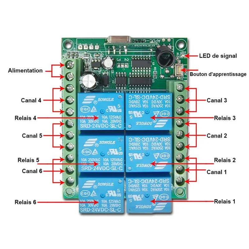 6 Canaux 10A CC kit interrupteur relais sans fil avec télécommande (Modèle: 0020070)