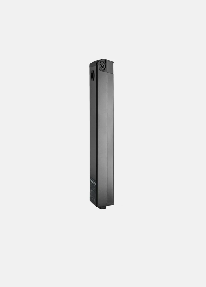 P20 Batterie