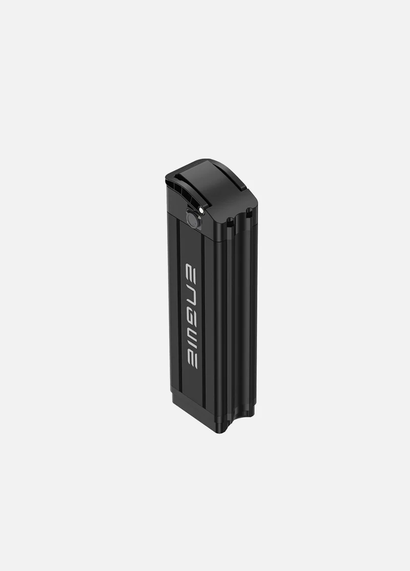 L20 Batterie
