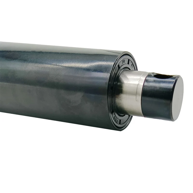 800kg vérin électrique 12V 24V actionneur linéaire course 300 mm (Modèle: 0041543)