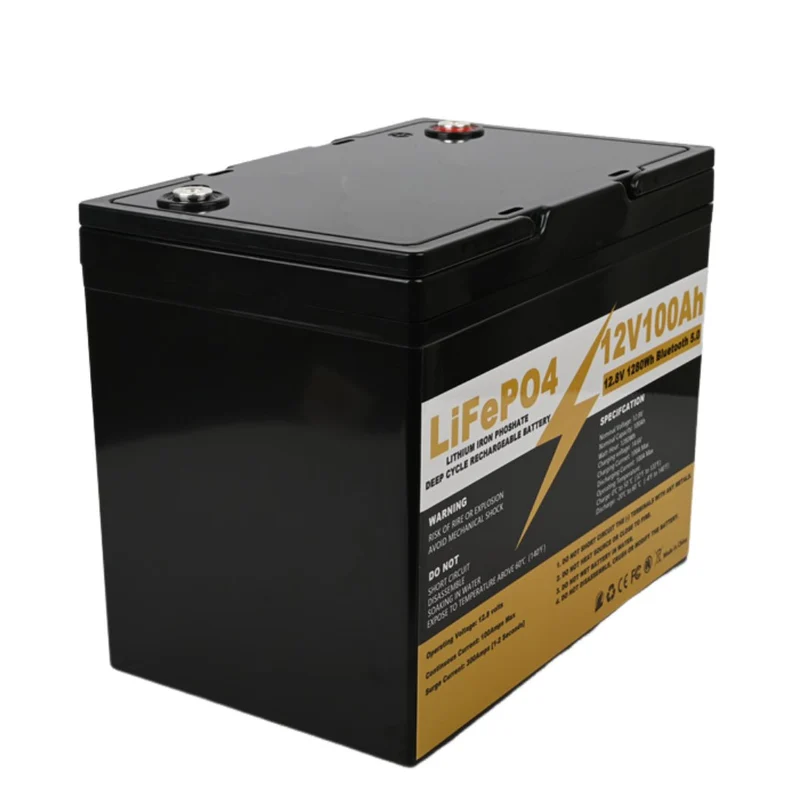 12V 100AH LiFePo4 Battery with Bluetooth BMS 12.8V Energy Storage Battery Pack for Boat RV