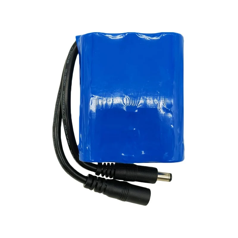 Paquet de Batterie au Lithium 12V 5600mAh Avec Fonction Rechargeable (Modèle 0010203)