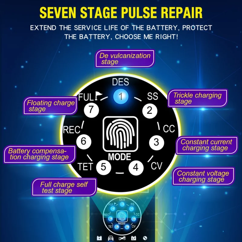 E-FAST Battery Charger Lithium Iron Phosphate Battery Charger Intelligent Pulse Repair Charger